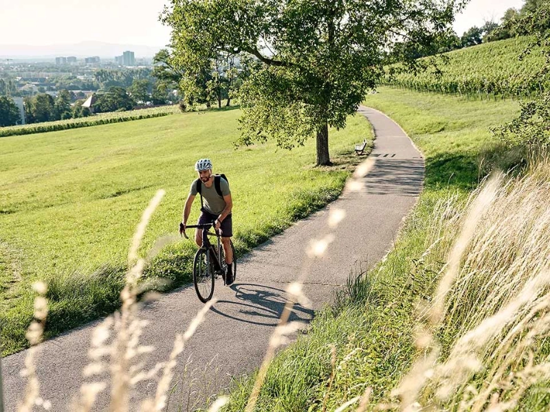 Ein JobRadler auf einem Fahrradweg im Grünen am Schlierberg